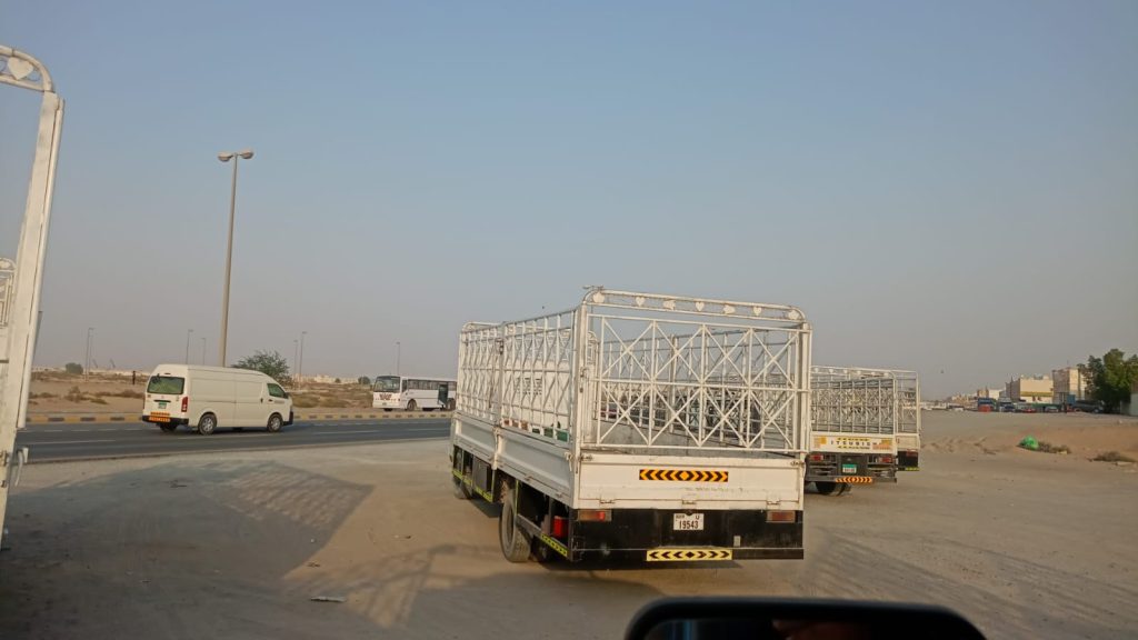 Pickup Rental Truck Sharjah